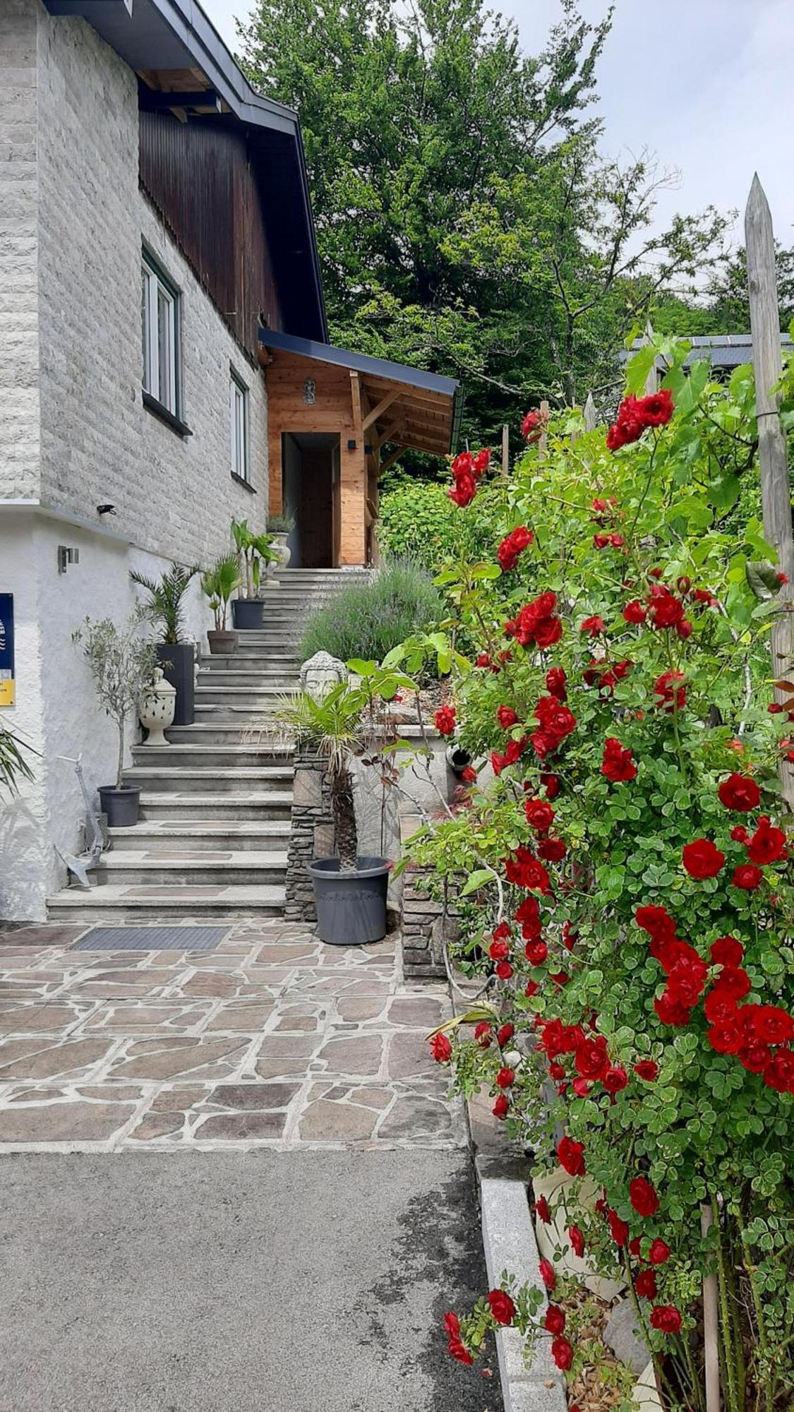 Ferienhaus Goldener Anker 阿特湖畔翁特拉赫 外观 照片